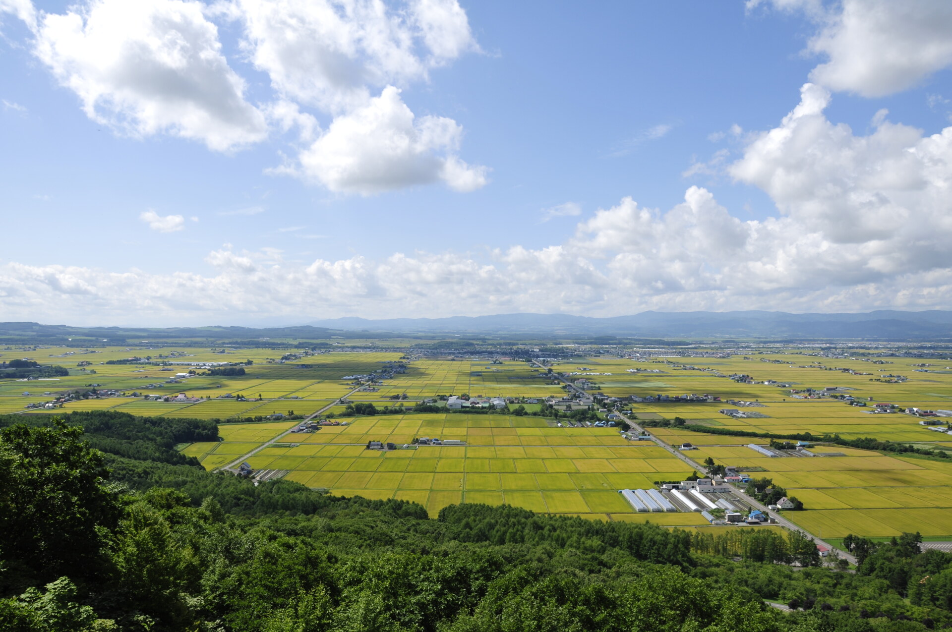 （終了）ひがしかわ町民バスツアー　農育編